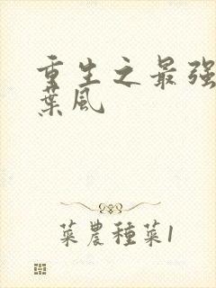 重生之最强弃少叶风封面