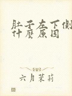 肚子左下侧绞痛什么原因