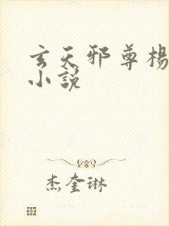 玄天邪尊杨天雷小说