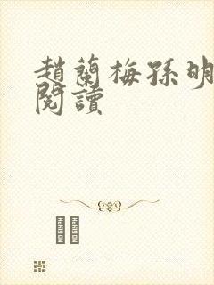 赵兰梅孙明小说阅读封面