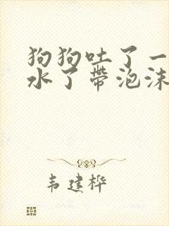 狗狗吐了一天黄水了带泡沫怎么办