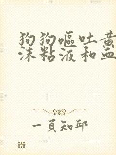 狗狗呕吐黄水泡沫粘液和血