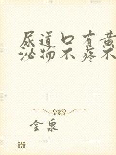 尿道口有黄色分泌物不疼不痒