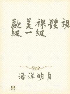 欧美裸体视频一级一级