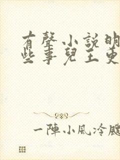 有声小说明朝那些事儿王更新