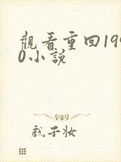 观看重回1990小说封面