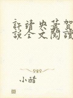 许靖央萧贺夜小说全文阅读最新章节