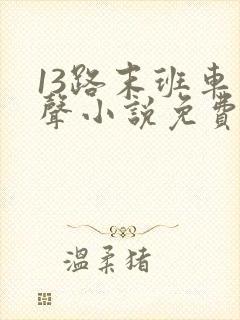 13路末班车有声小说免费听书封面