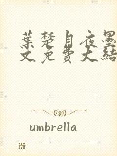 叶楚月夜墨寒全文免费大结局封面