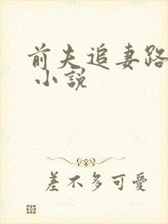 前夫追妻路漫漫 小说
