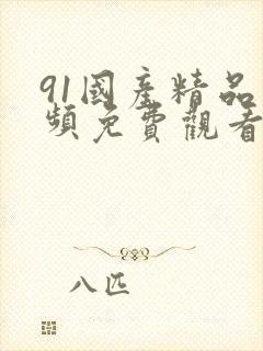 91国产精品视频免费观看