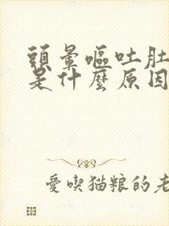 头晕呕吐肚子疼是什么原因引起的