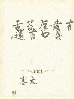 舌苔厚黄有齿痕,还有口臭