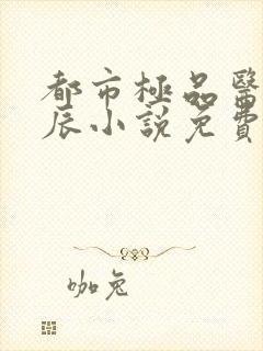 都市极品医神叶辰小说免费阅读完整版封面