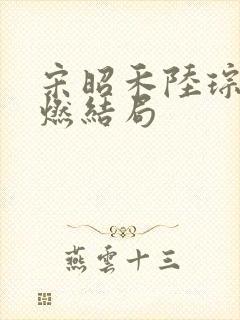 宋昭禾陆琮聿沈燃结局封面