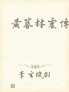 黄蓉林震传封面