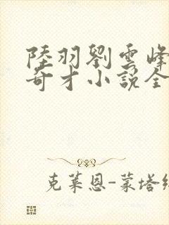 陆羽刘云峰官场奇才小说全文免费阅读