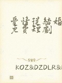 爱情从结婚开始免费短剧封面