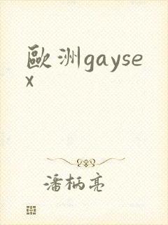 欧洲gaysex封面