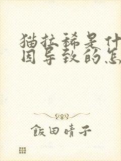 猫拉稀是什么原因导致的怎么治疗