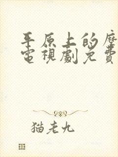 平原上的摩西 电视剧免费