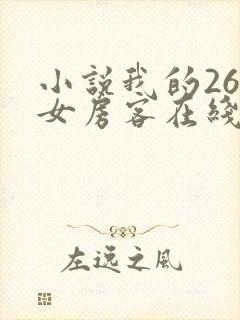 小说我的26岁女房客在线观看