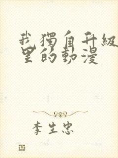 我独自升级是哪里的动漫