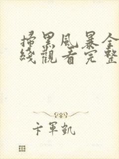 扫黑风暴全集在线观看完整版免费观看国语