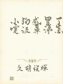 小狗感冒了打喷嚏流鼻涕怎么办