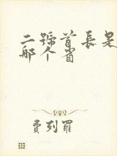 二号首长是指的哪个省封面