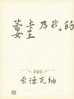 蕾卡乃我的华丽女王