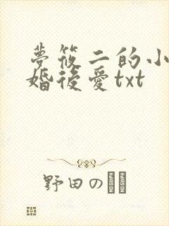 梦筱二的小说先婚后爱txt