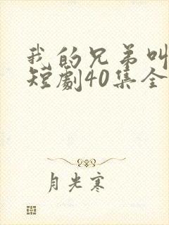 我的兄弟叫向前短剧40集全