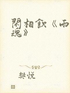 闲相饮《雨魄云魂》封面