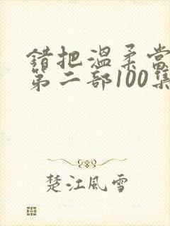 错把温柔当情深第二部100集