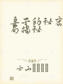 妻子的秘密大结局揭秘