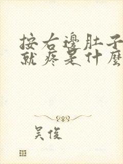 按右边肚子胃部就疼是什么原因封面