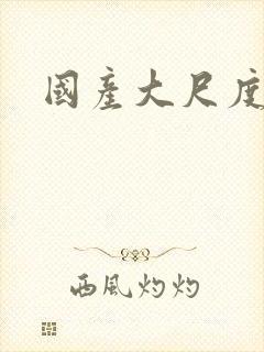 国产大尺度一区