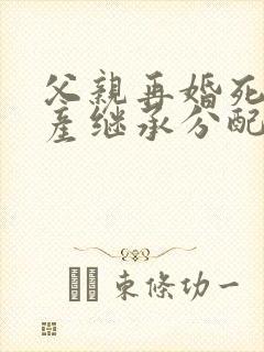 父亲再婚死亡遗产继承分配