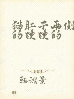 猫肚子两侧鼓鼓的硬硬的封面