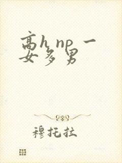 高h np 一女多男