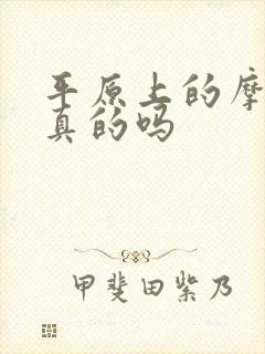 平原上的摩西是真的吗