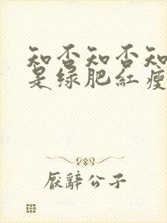 知否知否知否应是绿肥红瘦演员表封面