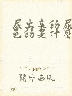 尿出来的尿是红色的是什么原因