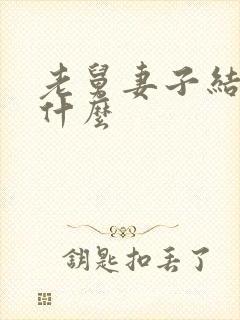 老舅妻子结局是什么封面