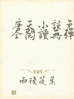 唐天小说免费大全阅读无弹窗