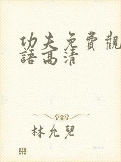 功夫免费观看国语高清