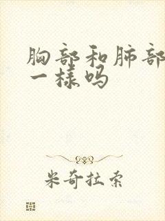 胸部和肺部ct一样吗