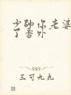 少帅你老婆又跑了番外