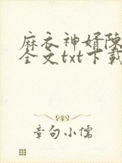 麻衣神婿陈黄皮全文txt下载